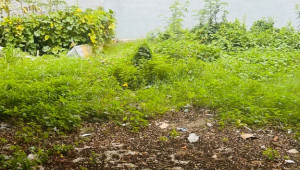 Bán nhà Thửa 1258 Tờ 84 Huỳnh Tấn Phát, Nhà Bè. DT: 4.0m x 16.2m, diện tích: 64m2 giá: 5.4 tỷ