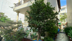 Bán nhà 29 Hà Thị Đát (SC 15.23 Cầu Xéo), Tân Phú. DT: 18.0m x 30.0m, diện tích: 543m2 giá: 51.9 tỷ