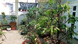 Bán nhà 3A Nguyễn Háo Vĩnh, Tân Phú. DT: 8.0m x 26.0m, diện tích: 208m2 giá: 27.0 tỷ