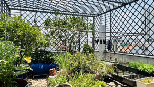 Bán nhà 62/5 Phú Thọ Hoà, Tân Phú. DT: 4.7m x 22.0m, diện tích: 101m2 giá: 14.6 tỷ