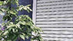 Bán nhà 49/56/68I Trịnh Đình Trọng, Tân Phú. DT: 4.0m x 16.0m, diện tích: 0m2 giá: 6.5 tỷ