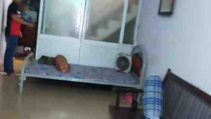Bán nhà 114 Khuông Việt, Tân Phú. DT: 4.0m x 4.0m, diện tích: 0m2 giá: 14.5 tỷ