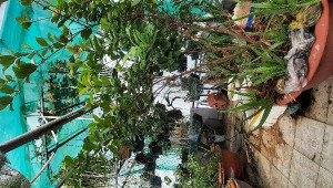 Bán nhà 477/10/38 Âu Cơ, Tân Phú. DT: 2.5m x 10.5m, diện tích: 0m2 giá: 3.18 tỷ