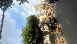 Bán nhà 55 Tân Thành, Tân Phú. DT: 4.0m x 14.0m, diện tích: 53m2 giá: 8.9 tỷ