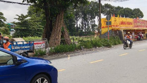 Bán nhà 644 ( Thửa 521 tờ 42 ) 644 Đỗ Xuân Hợp ( số cũ: 4B Đại Lộ III ), Quận 9. DT: 4.4m x 15.0m, diện tích: 33m2 giá: 8.8 tỷ