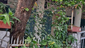 Bán nhà 52/1 265, Quận 9. DT: 7.0m x 16.0m, diện tích: 109m2 giá: 7.5 tỷ