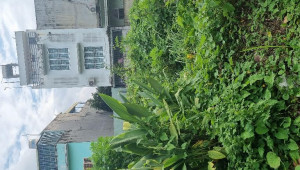 Bán nhà 58 (Thửa số 687, tờ bản đồ 12) Đường B, Quận 9. DT: 5.0m x 22.5m, diện tích: 112m2 giá: 5.8 tỷ