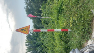Bán nhà Tờ bản đồ 50 thửa 518,519,520,522,517,523 Đặng Thanh Hiếu, Quận 9. DT: 50.0m x 100.0m, diện tích: 6300m2 giá: 119.0 tỷ