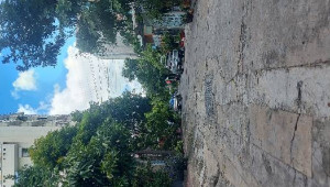 Bán nhà 590/D5 Cách Mạng Tháng Tám, Quận 3. DT: 5.0m x 16.6m, diện tích: 83m2 giá: 17.5 tỷ