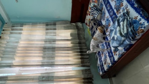 Bán nhà 73/5D Văn Thân, Quận 6. DT: 3.3m x 10.0m, diện tích: 0m2 giá: 2.8 tỷ