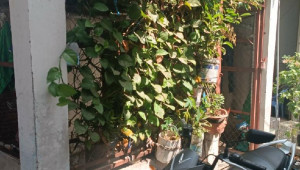 Bán nhà 357/66/2 hậu giang, Quận 6. DT: 3.8m x 15.5m, diện tích: 56m2 giá: 4.0 tỷ