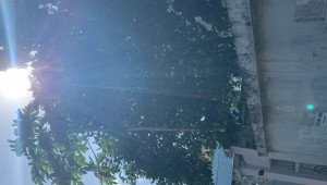 Bán nhà 350/18A Huỳnh Tấn Phát, Quận 7. DT: 6.0m x 20.0m, diện tích: 120m2 giá: 9.8 tỷ