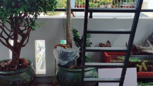 Bán nhà 88/87A Nguyễn Văn Quỳ, Quận 7. DT: 4.5m x 12.5m, diện tích: 0m2 giá: 6.15 tỷ