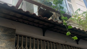 Bán nhà (2/14) đường số 14, Quận 7. DT: 4.2m x 9.4m, diện tích: 22m2 giá: 3.649 tỷ