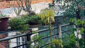 Bán nhà 290B/42 Dương Bá Trạc, Quận 8. DT: 4.0m x 11.0m, diện tích: 43m2 giá: 4.2 tỷ
