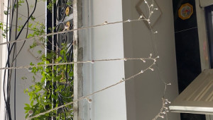 Bán nhà 39/9 Tạ Quang Bửu, Quận 8. DT: 3.9m x 11.0m, diện tích: 43m2 giá: 5.78 tỷ