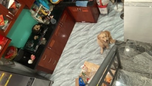 Bán nhà 21A' Hoàng Minh Đạo, Quận 8. DT: 4.0m x 0.0m, diện tích: 68m2 giá: 8.2 tỷ