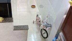 Bán nhà 5/27 Nguyễn Ngọc Lộc, Quận 10. DT: 2.3m x 11.0m, diện tích: 19m2 giá: 3.7 tỷ