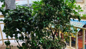 Bán nhà 101 Lô H chung cư Lê Thị Riêng, Quận 10. DT: 6.0m x 8.5m, diện tích: 0m2 giá: 2.4 tỷ