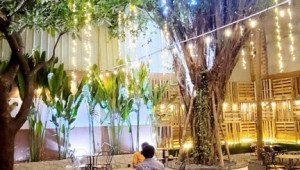 Bán nhà 398/12 Lê Văn Khương, Quận 12. DT: 15.0m x 31.0m, diện tích: 470m2 giá: 28.9 tỷ