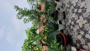Bán nhà 368/22 TCH 10, Quận 12. DT: 4.0m x 19.0m, diện tích: 0m2 giá: 4.6 tỷ