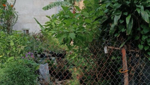 Bán nhà 267/28 Trương Thị Hoa, Quận 12. DT: 6.0m x 18.0m, diện tích: 86m2 giá: 6.7 tỷ
