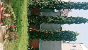 Bán nhà 87 (thửa 1050, tờ 16) Tân Thới Hiệp 09, Quận 12. DT: 5.4m x 45.0m, diện tích: 961m2 giá: 29.0 tỷ