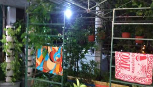 Bán nhà 11 đường số 2, Bình Tân. DT: 6.0m x 12.0m, diện tích: 0m2 giá: 9.3 tỷ