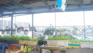 Bán nhà 507/56/2 Hương Lộ 3, Bình Tân. DT: 4.0m x 8.0m, diện tích: 32m2 giá: 4.7 tỷ