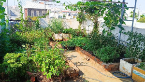 Bán nhà 135/46 Phạm Đăng Giảng, Bình Tân. DT: 4.0m x 16.0m, diện tích: 41m2 giá: 5.95 tỷ