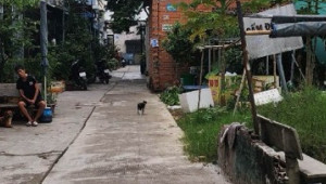 Bán nhà 118/71/57 Liên khu 5-6, Bình Tân. DT: 4.3m x 13.0m, diện tích: 54m2 giá: 3.35 tỷ
