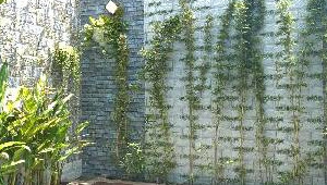 Bán nhà 151/53/45 Liên Khu 4-5, Bình Tân. DT: 4.0m x 17.5m, diện tích: 0m2 giá: 5.75 tỷ