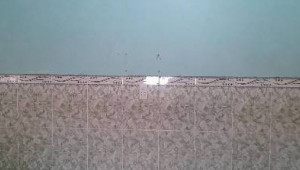 Bán nhà 357/31/19 Tân Hòa Đông, Bình Tân. DT: 5.0m x 23.0m, diện tích: 0m2 giá: 6.2 tỷ