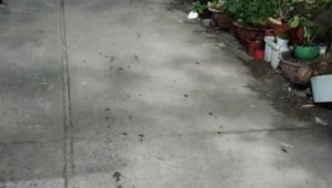 Bán nhà 365/32 Lê Văn Quới, Bình Tân. DT: 8.5m x 30.0m, diện tích: 0m2 giá: 10.9 tỷ