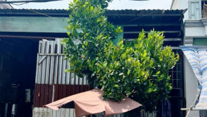 Bán nhà Đất 951.19 Hương Lộ 2, Bình Tân. DT: 6.5m x 12.0m, diện tích: 78m2 giá: 3.75 tỷ