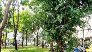 Bán nhà 673/2/1/4A Tỉnh lộ 10, Bình Tân. DT: 4.0m x 10.0m, diện tích: 0m2 giá: 5.5 tỷ