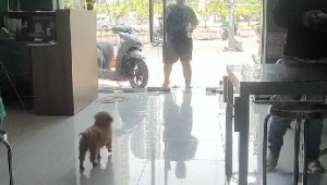 Bán nhà 113B Nguyễn Hữu cảnh, Bình Thạnh. DT: 5.0m x 20.0m, diện tích: 95m2 giá: 27.5 tỷ