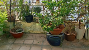 Bán nhà 114/33 Bùi Đình Tuý, Bình Thạnh. DT: 4.0m x 19.0m, diện tích: 72m2 giá: 7.8 tỷ