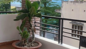 Bán nhà 143/2/42 phạm huy thông, Gò Vấp. DT: 5.0m x 16.0m, diện tích: 0m2 giá: 11.5 tỷ