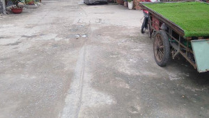 Bán nhà 145/36A Trần Bá Giao, Gò Vấp. DT: 4.2m x 18.5m, diện tích: 0m2 giá: 8.9 tỷ