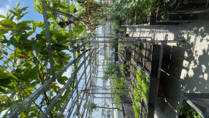 Bán nhà 153 Nguyễn Văn Lượng, Gò Vấp. DT: 4.2m x 0.0m, diện tích: 84m2 giá: 19.5 tỷ