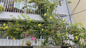 Bán nhà 399/1b Thống Nhất, Gò Vấp. DT: 10.0m x 15.0m, diện tích: 143m2 giá: 20.5 tỷ