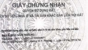 Bán nhà 16/2/9 đường số 2, Gò Vấp. DT: 4.0m x 0.0m, diện tích: 0m2 giá: 4.8 tỷ