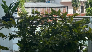 Bán nhà 227/51 Nguyễn Tư Giản, Gò Vấp. DT: 4.0m x 28.0m, diện tích: 0m2 giá: 9.3 tỷ