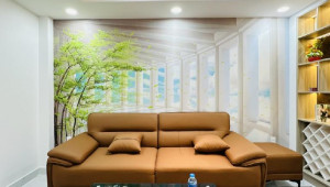 Bán nhà 819/11/20A (Thửa 694 Tờ 178) Quang Trung, Gò Vấp. DT: 3.5m x 14.0m, diện tích: 45m2 giá: 6.5 tỷ