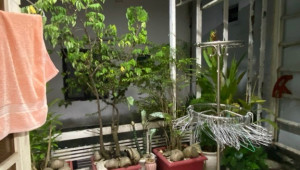 Bán nhà 911/10/49 Quang Trung, Gò Vấp. DT: 4.5m x 0.0m, diện tích: 44m2 giá: 4.2 tỷ