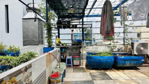 Bán nhà 383/45 Lê Đức Thọ, Gò Vấp. DT: 6.2m x 17.0m, diện tích: 116m2 giá: 11.6 tỷ