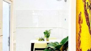 Bán nhà 176/1 Đường số 2, Gò Vấp. DT: 3.3m x 11.0m, diện tích: 0m2 giá: 4.2 tỷ