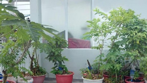 Bán nhà 56/46B Thích Quảng Đức, Phú Nhuận. DT: 8.0m x 3.0m, diện tích: 24m2 giá: 5.0 tỷ