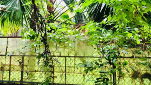 Bán nhà 675A (Căn hộ số 03) Nguyễn Kiệm, Phú Nhuận. DT: 6.0m x 10.0m, diện tích: 60m2 giá: 4.75 tỷ